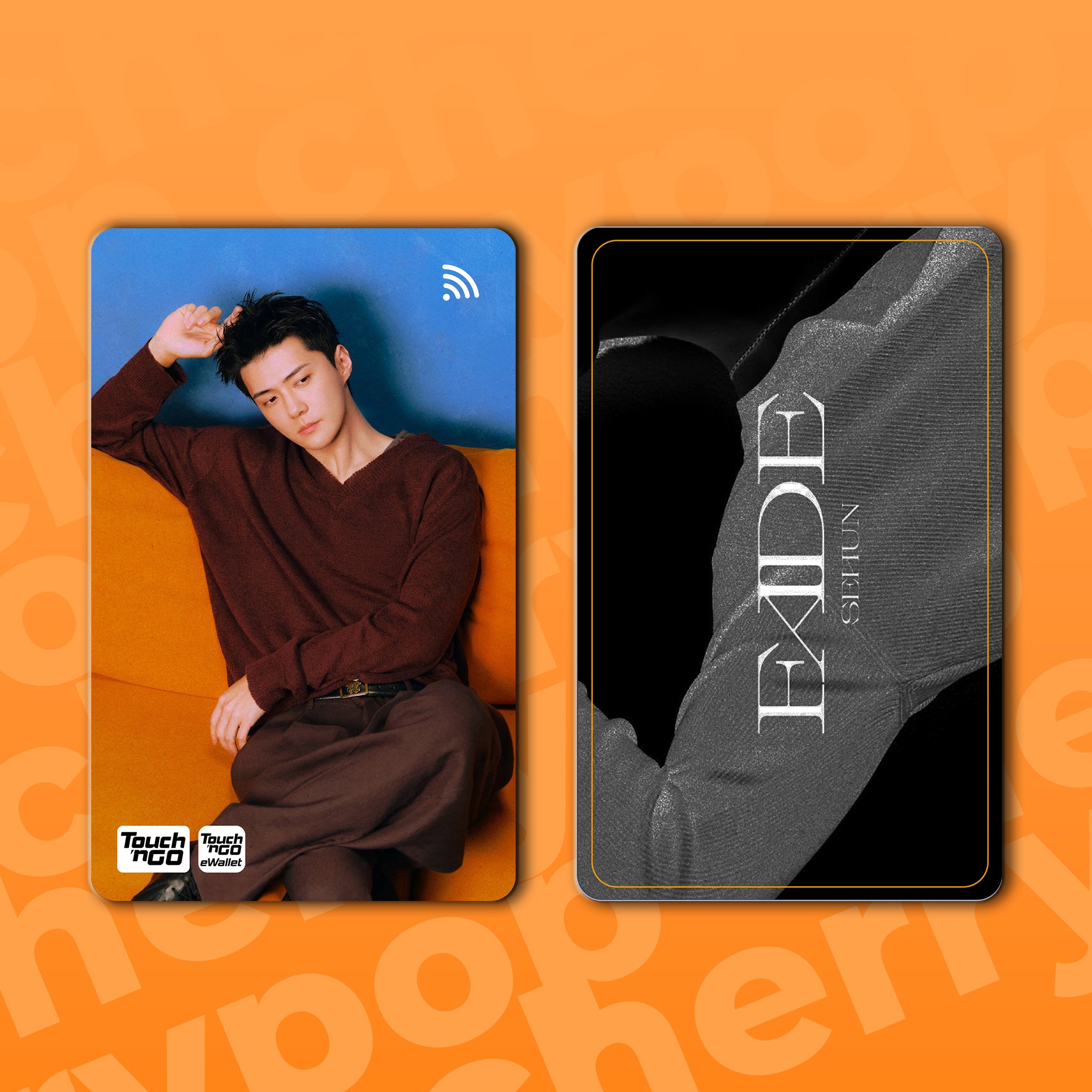 EXO SEHUN (FADE) TNG Card Skin