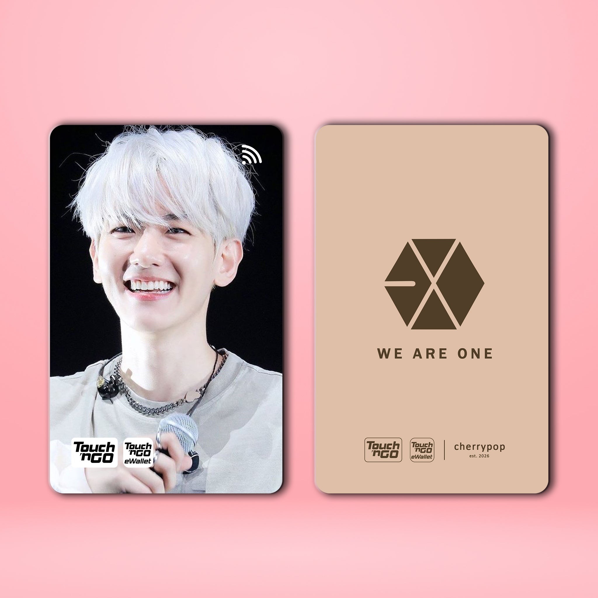 EXO BAEKHYUN TNG Card Skin