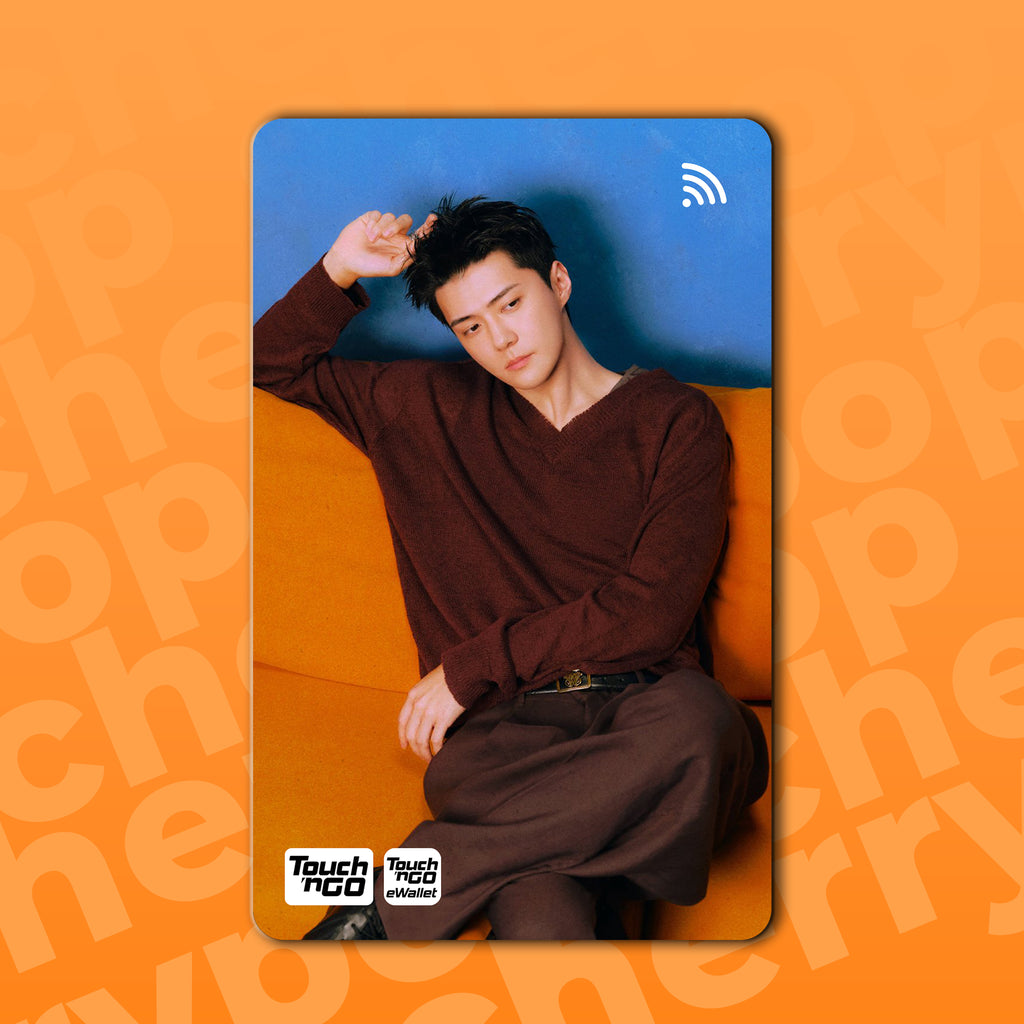 EXO SEHUN (FADE) TNG Card Skin