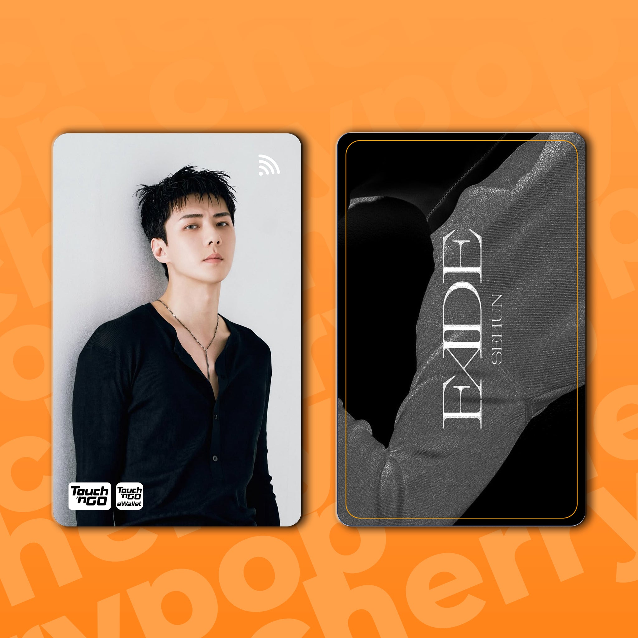 EXO SEHUN (FADE) TNG Card Skin