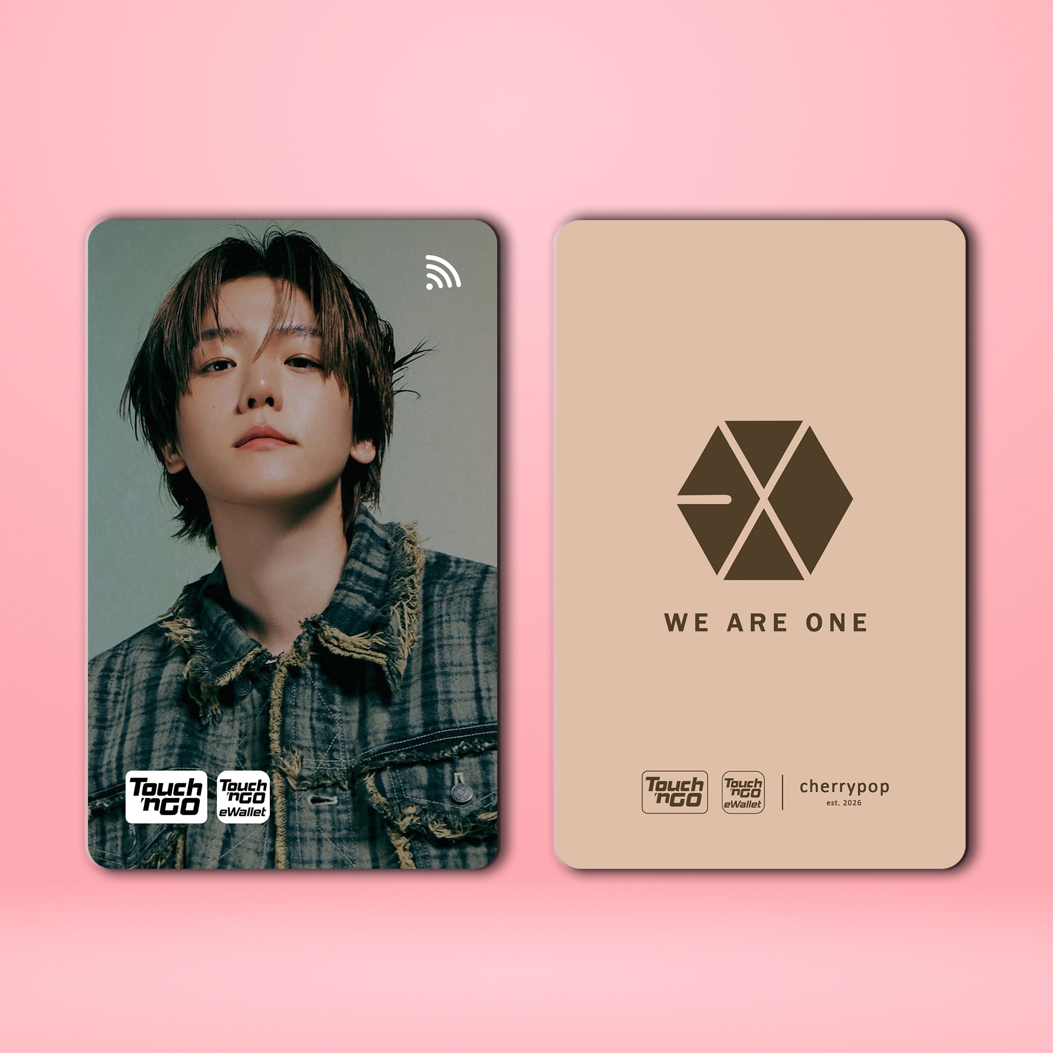 EXO BAEKHYUN TNG Card Skin