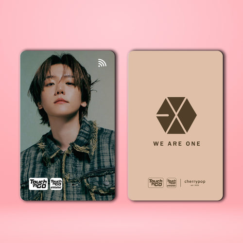 EXO BAEKHYUN TNG Card Skin