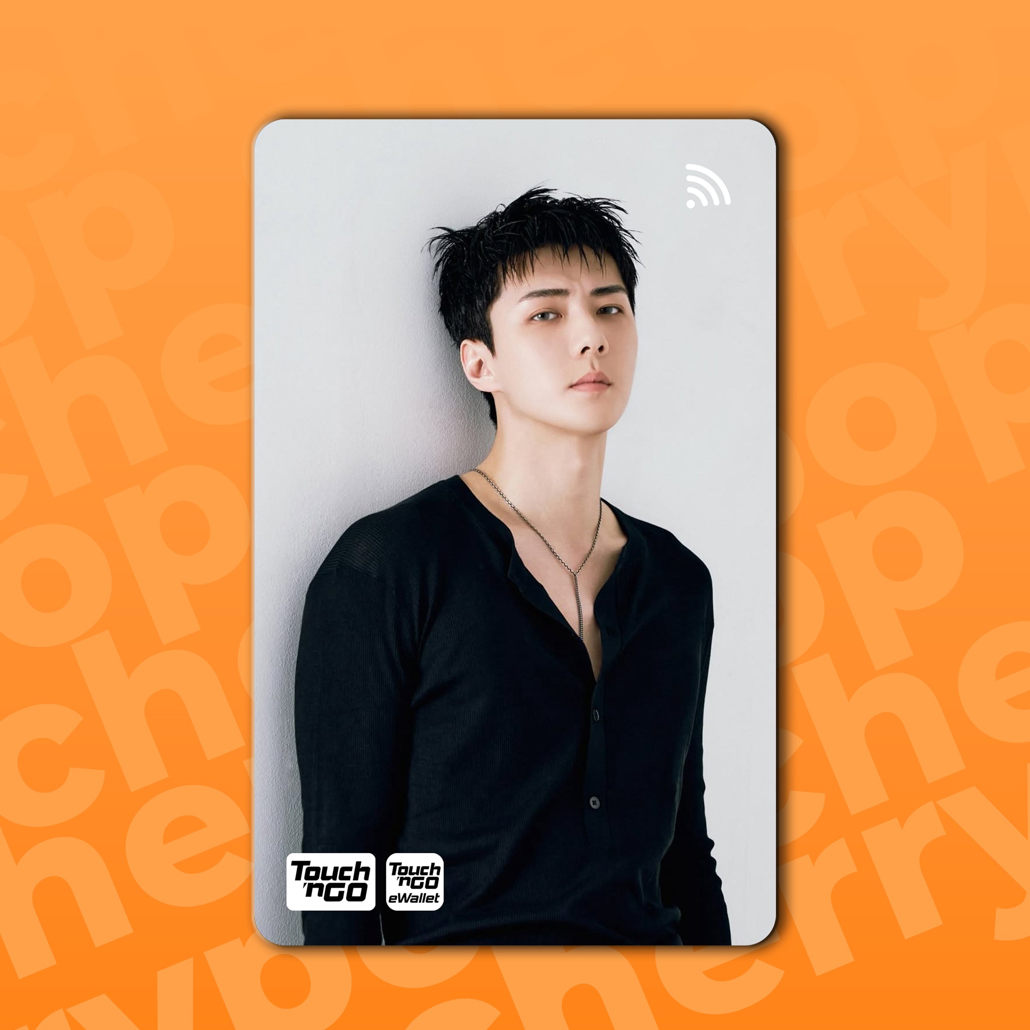 EXO SEHUN (FADE) TNG Card Skin