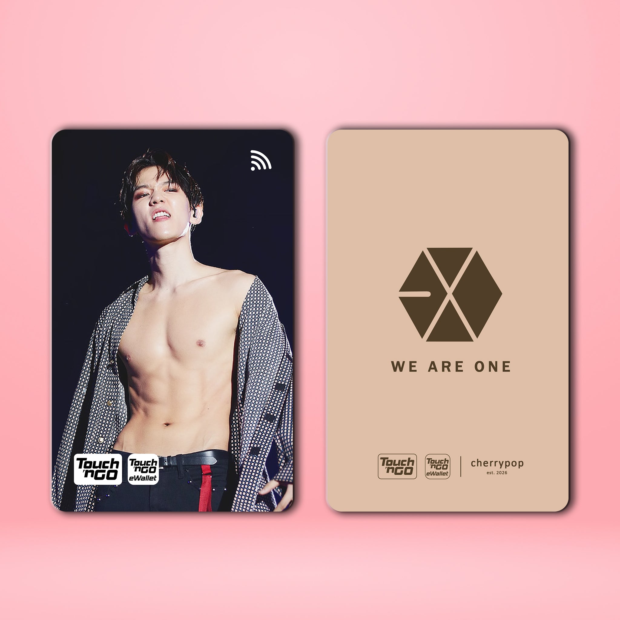 EXO BAEKHYUN TNG Card Skin