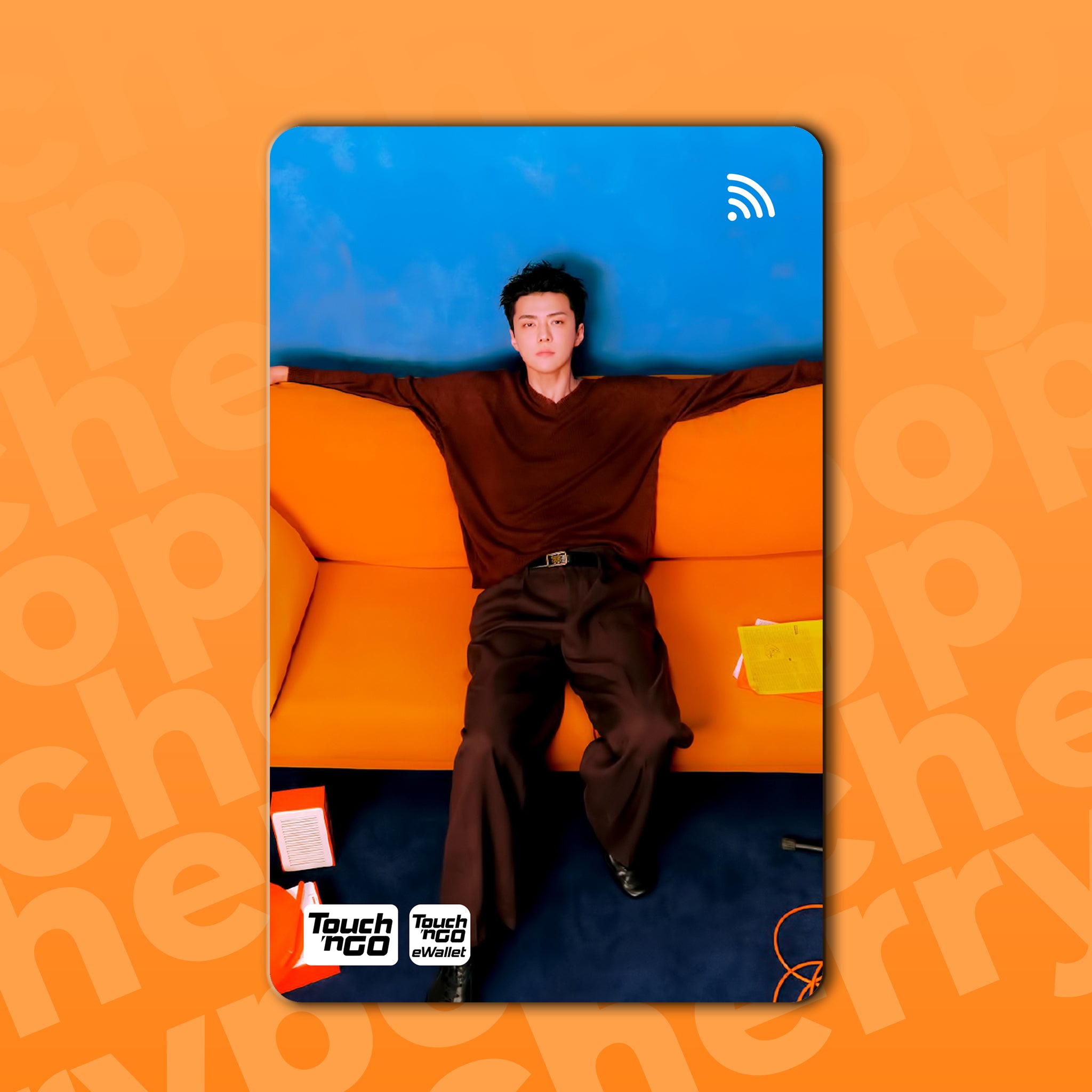 EXO SEHUN (FADE) TNG Card Skin