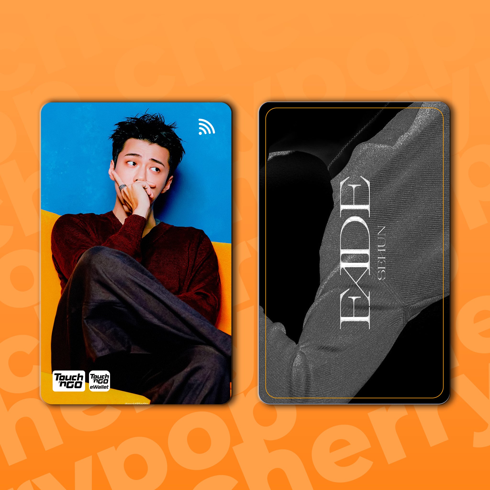 EXO SEHUN (FADE) TNG Card Skin