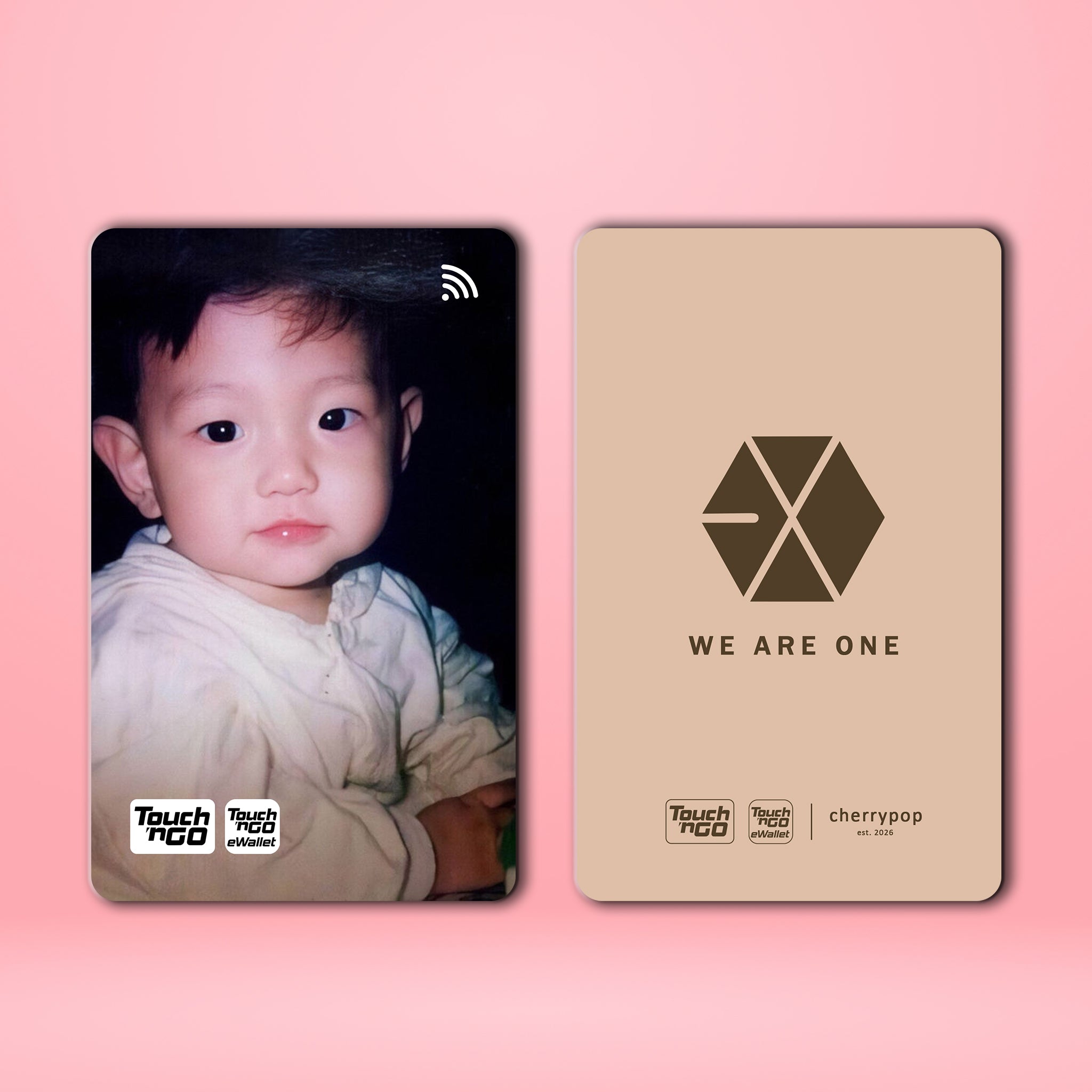 EXO BAEKHYUN TNG Card Skin