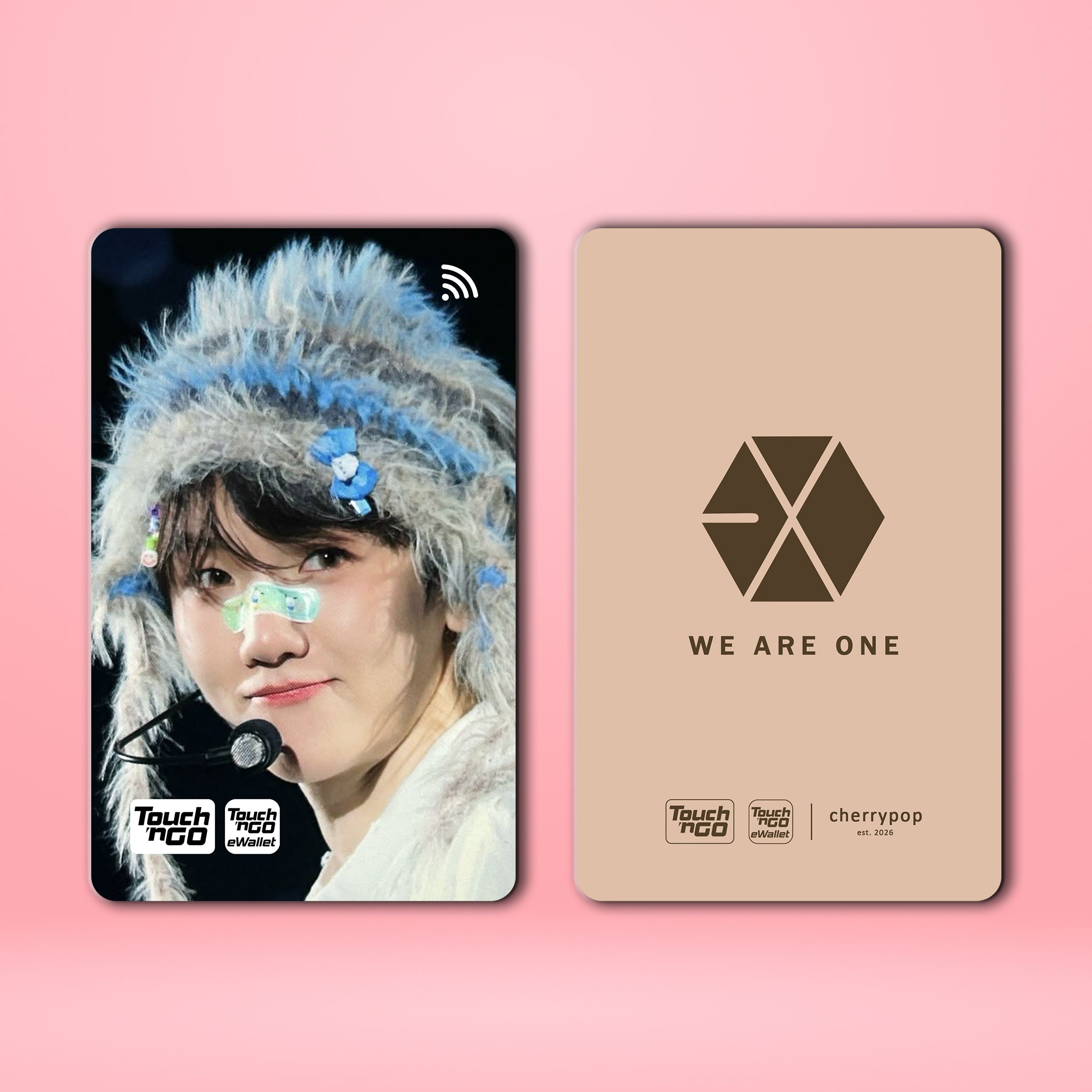 EXO BAEKHYUN TNG Card Skin