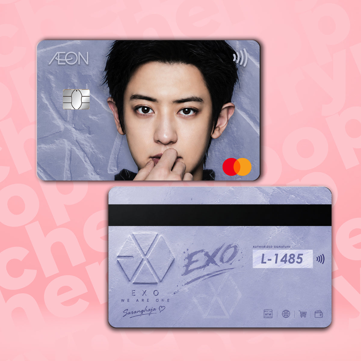 EXO CHANYEOL BANK CARD SKIN