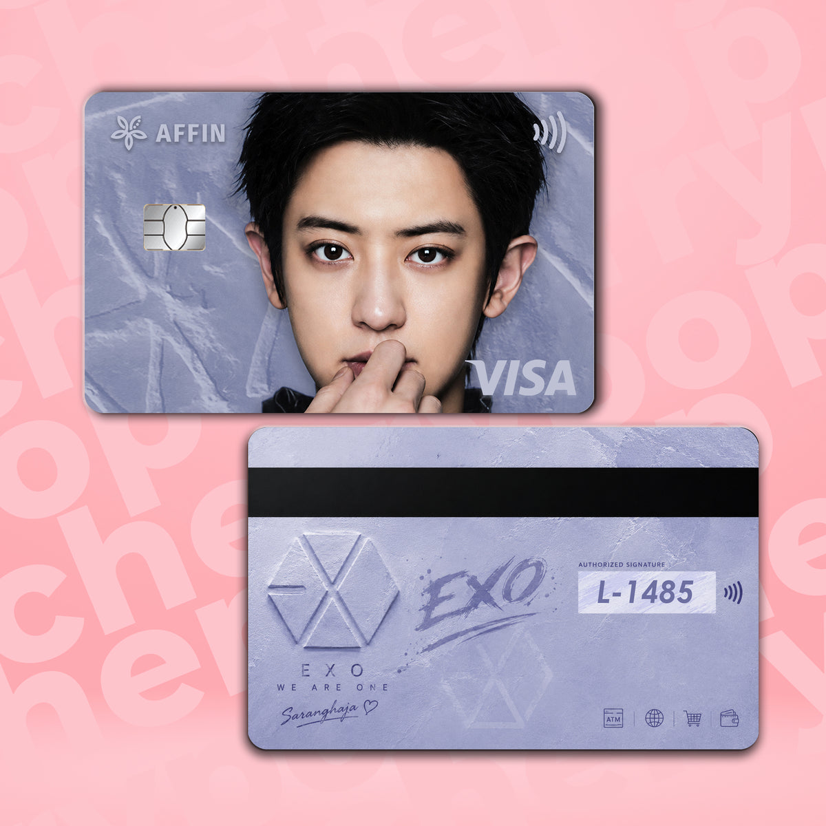 EXO CHANYEOL BANK CARD SKIN