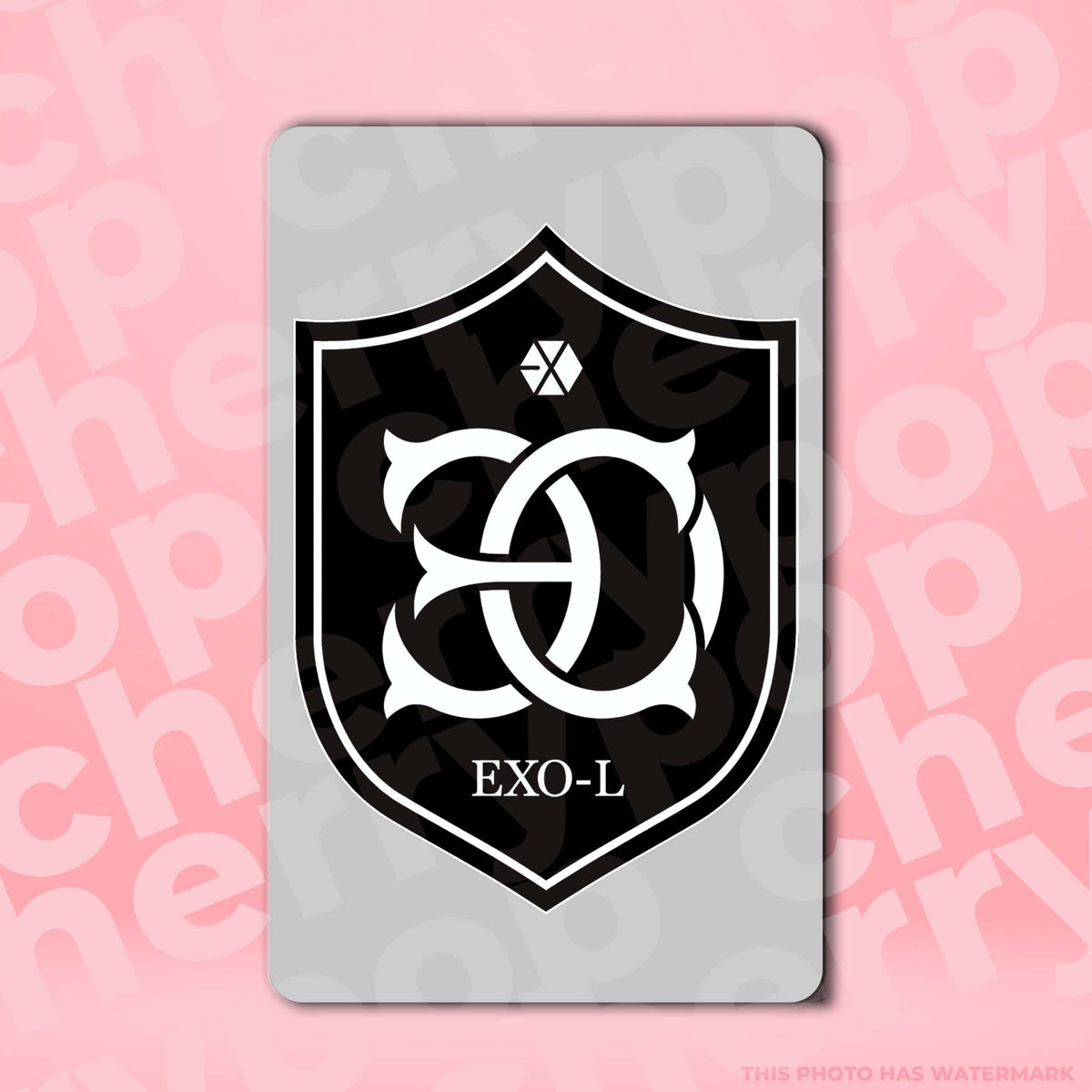 EXO LOGO TNG Card Skin