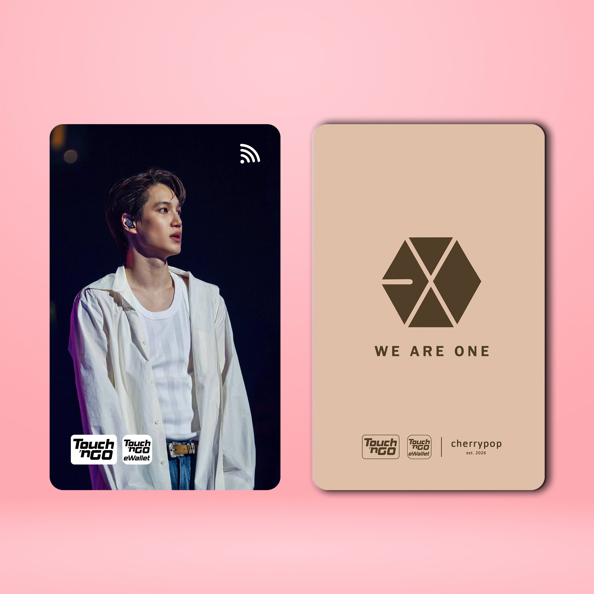 EXO KAI TNG Card Skin