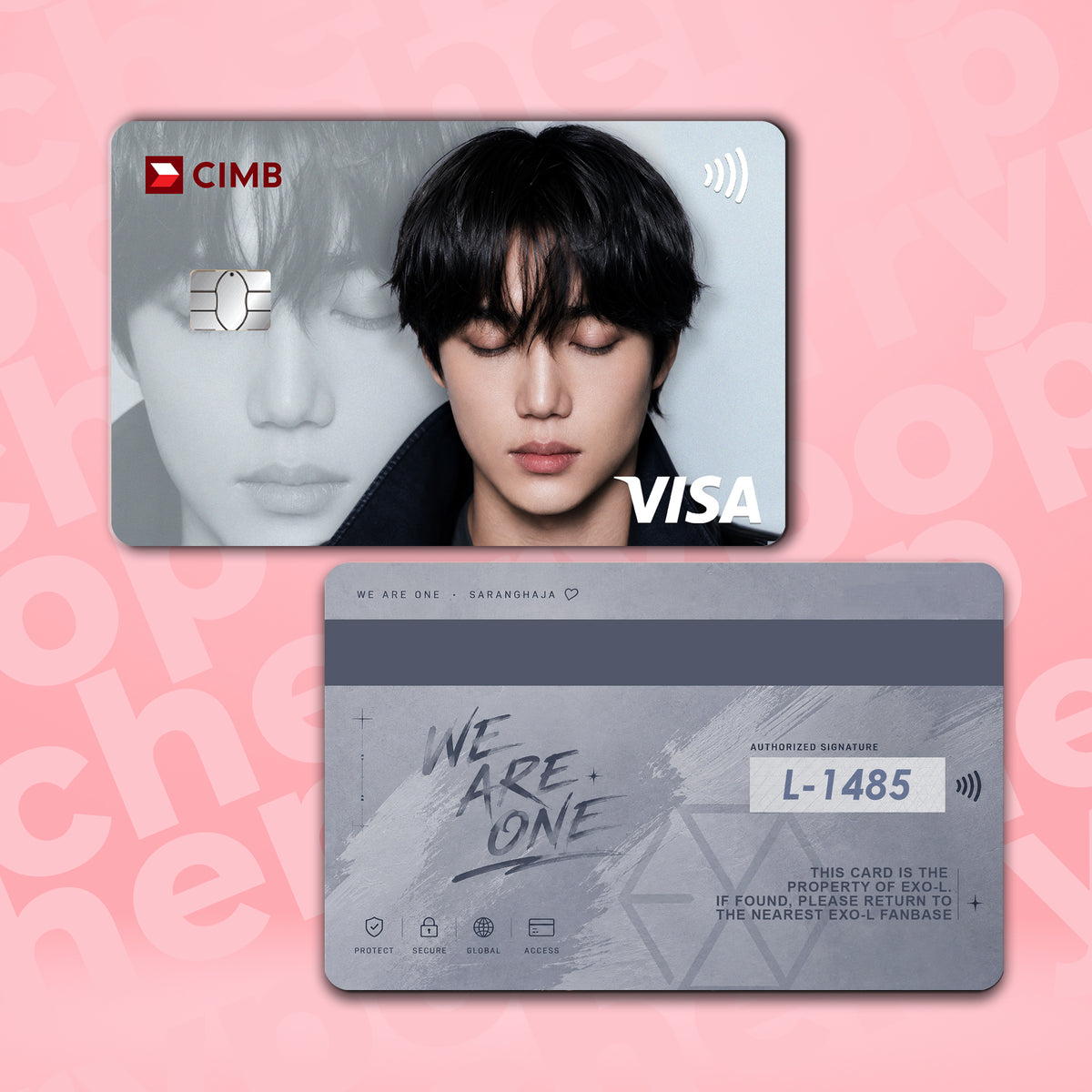 EXO KAI BANK CARD SKIN