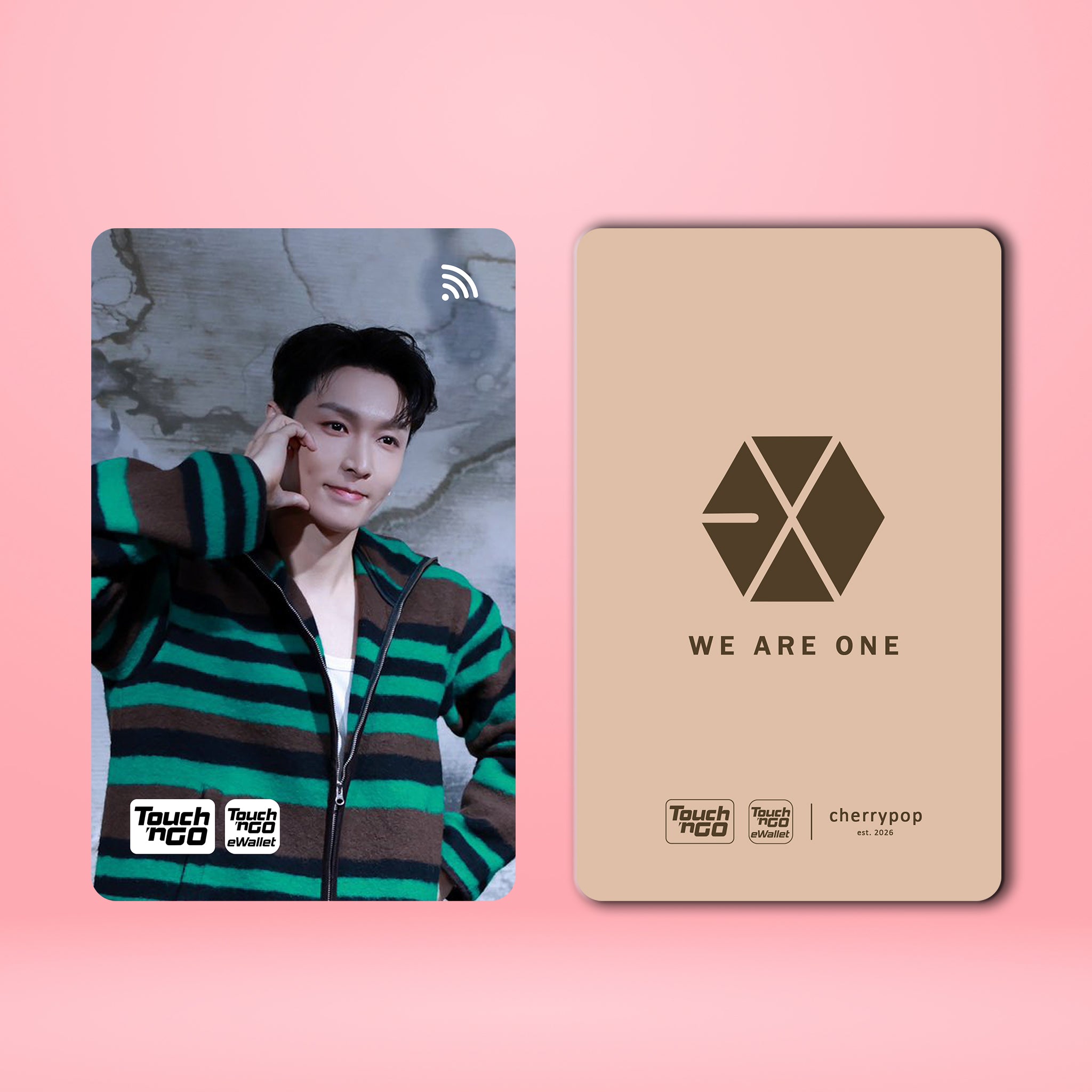 EXO LAY TNG Card Skin