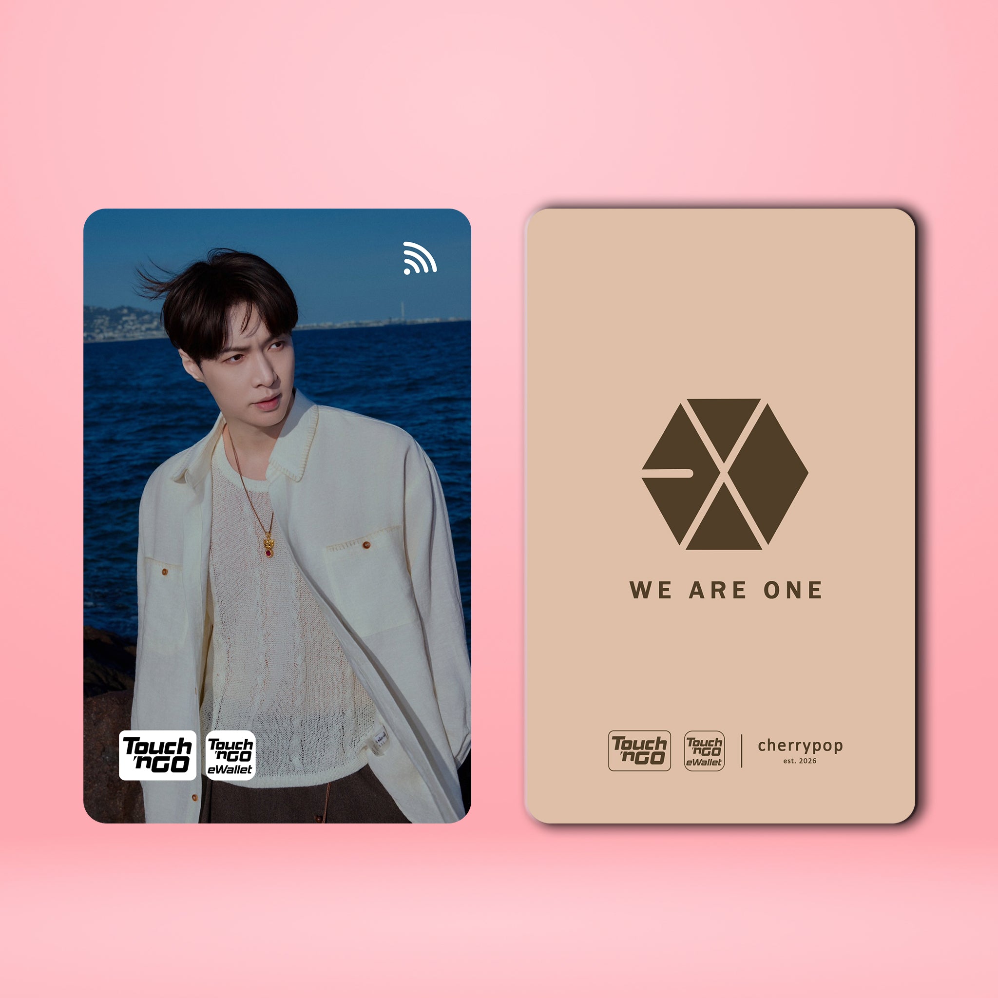 EXO LAY TNG Card Skin