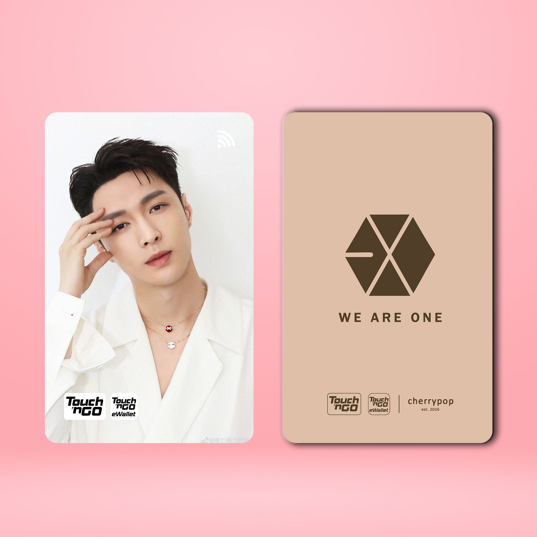 EXO LAY TNG Card Skin