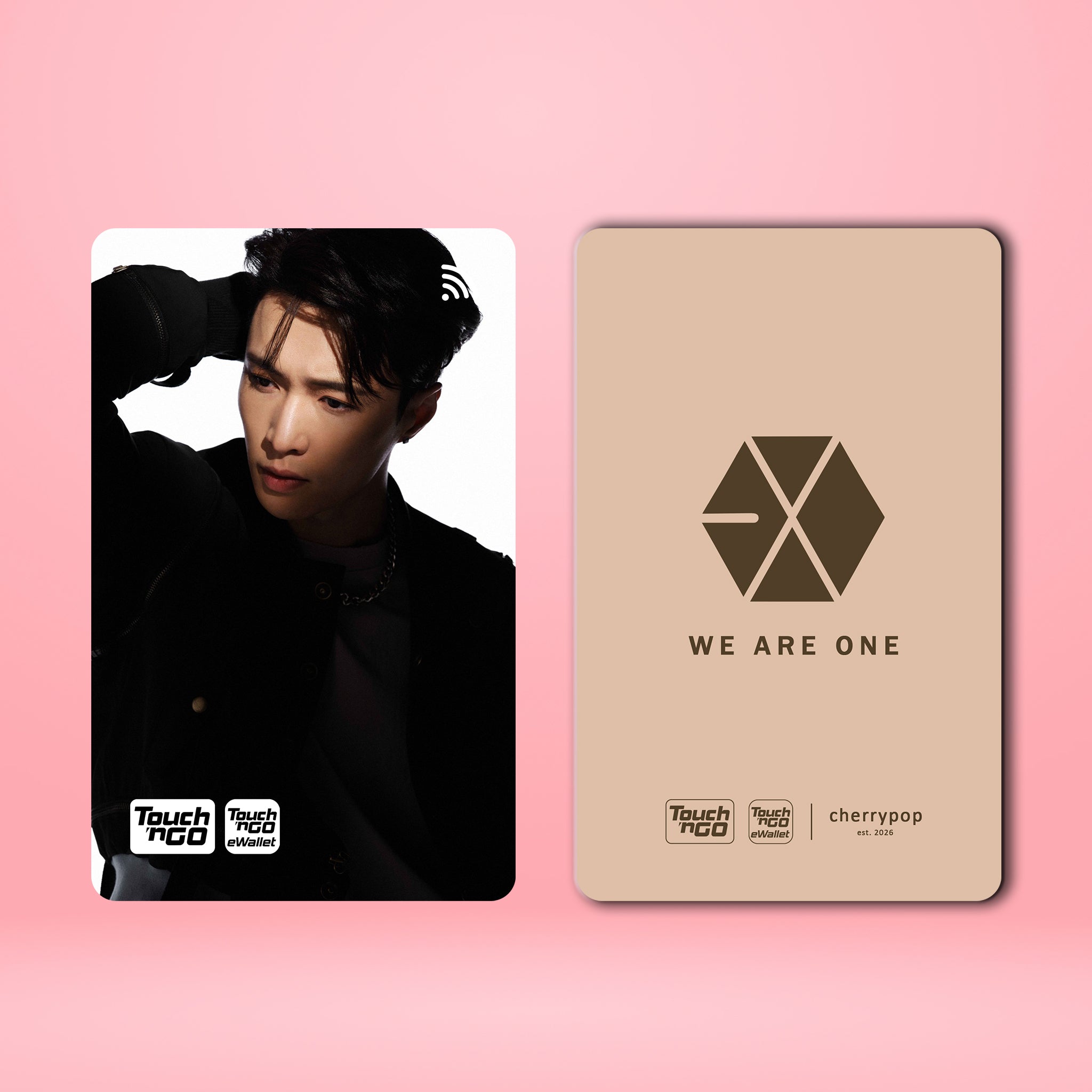 EXO LAY TNG Card Skin