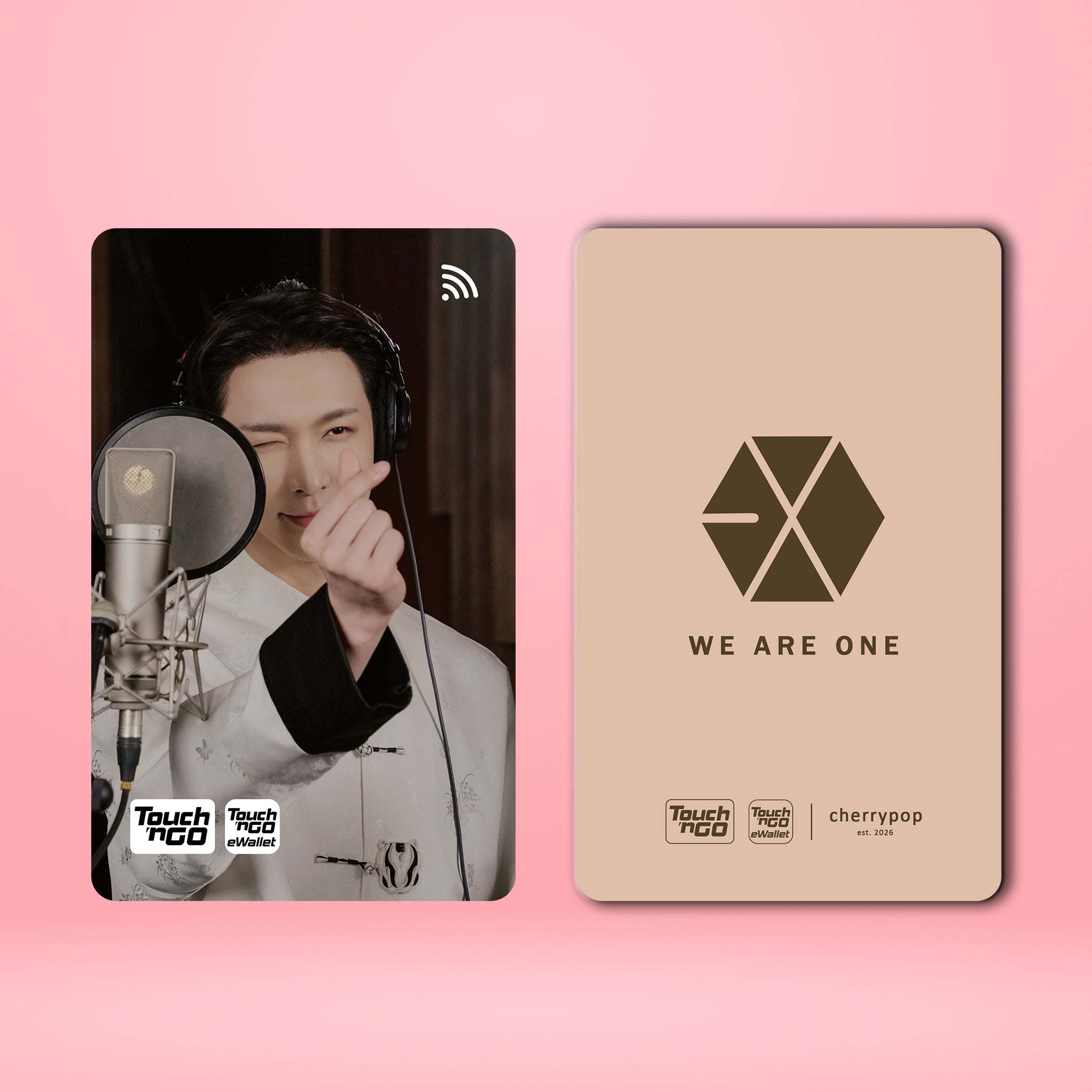 EXO LAY TNG Card Skin