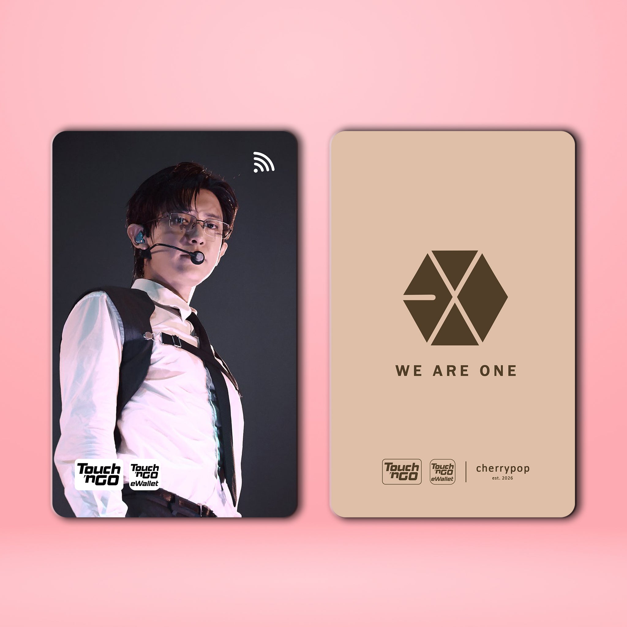 EXO CHANYEOL TNG Card Skin