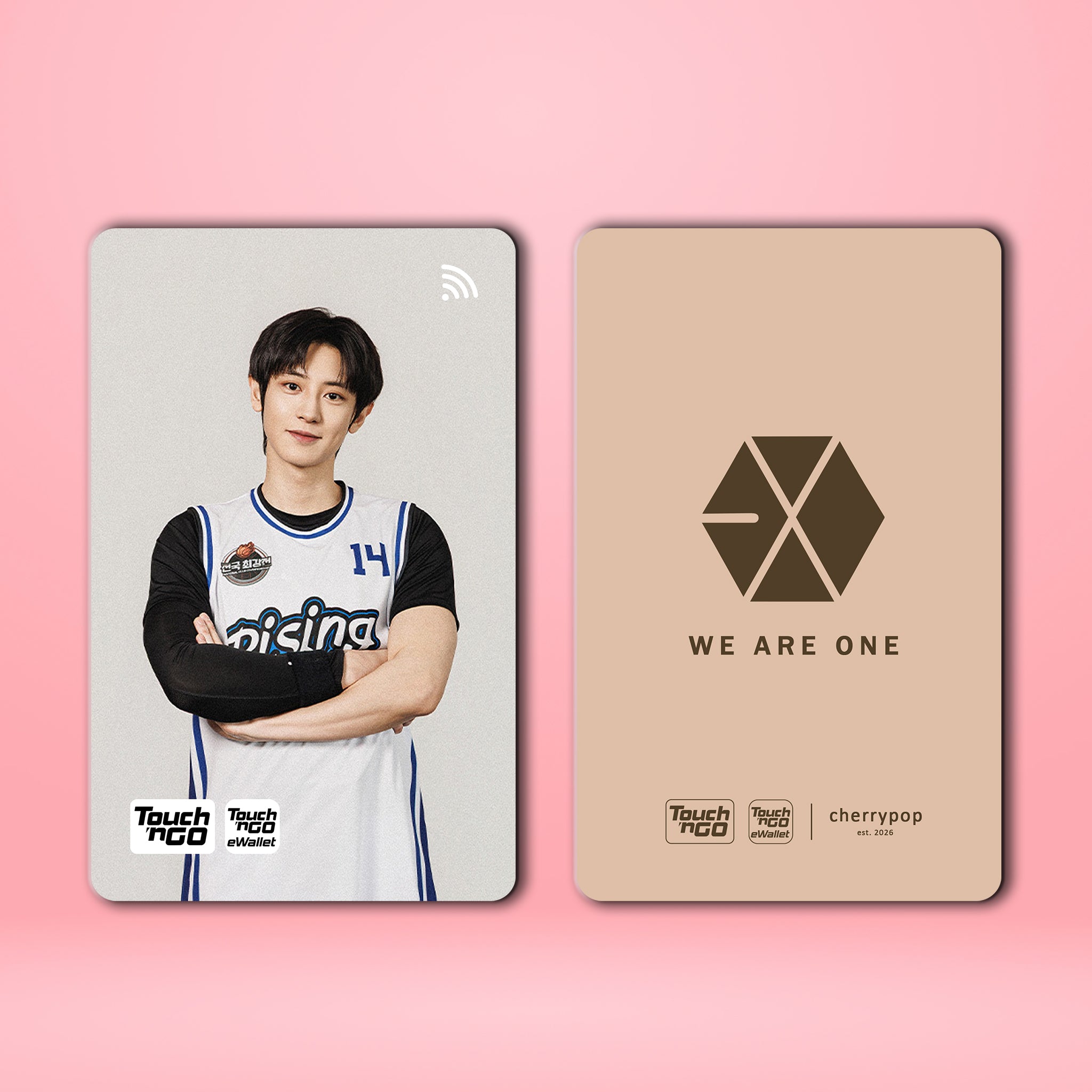 EXO CHANYEOL TNG Card Skin