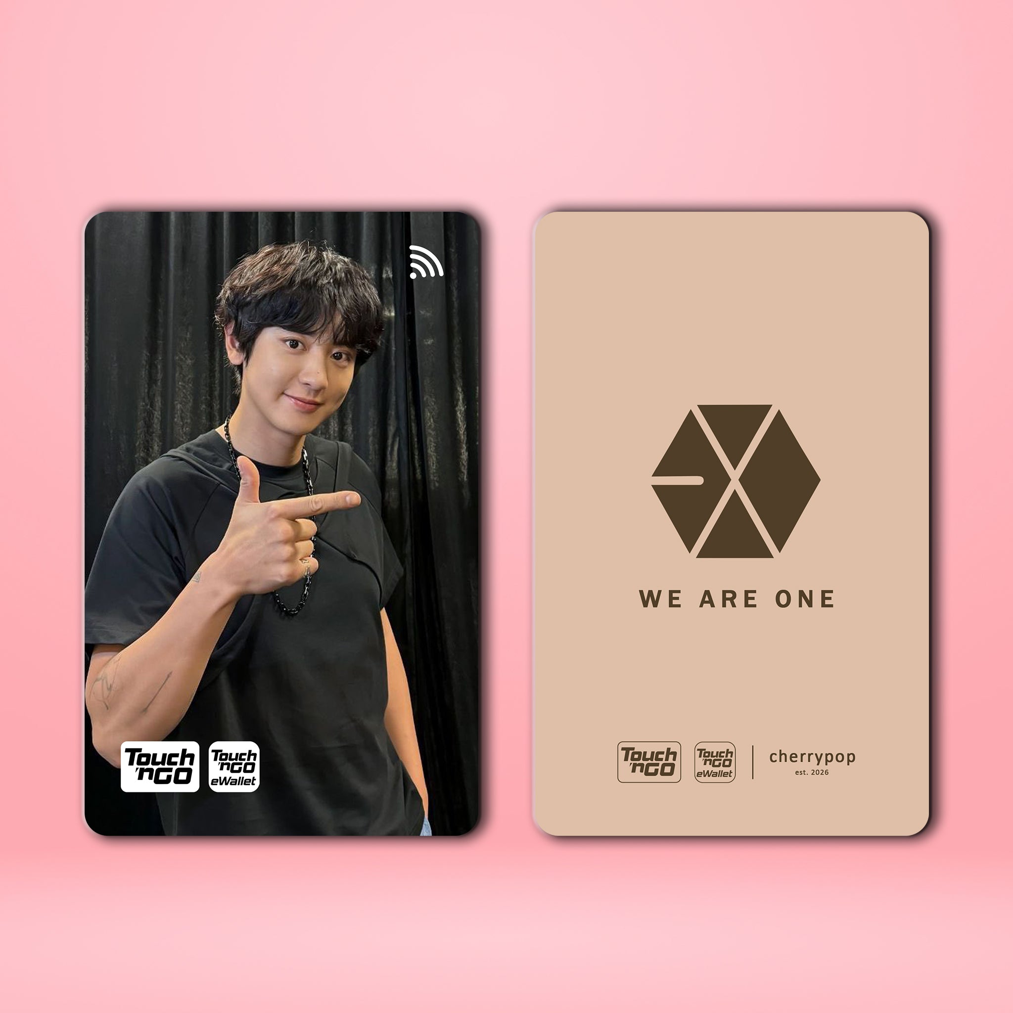 EXO CHANYEOL TNG Card Skin