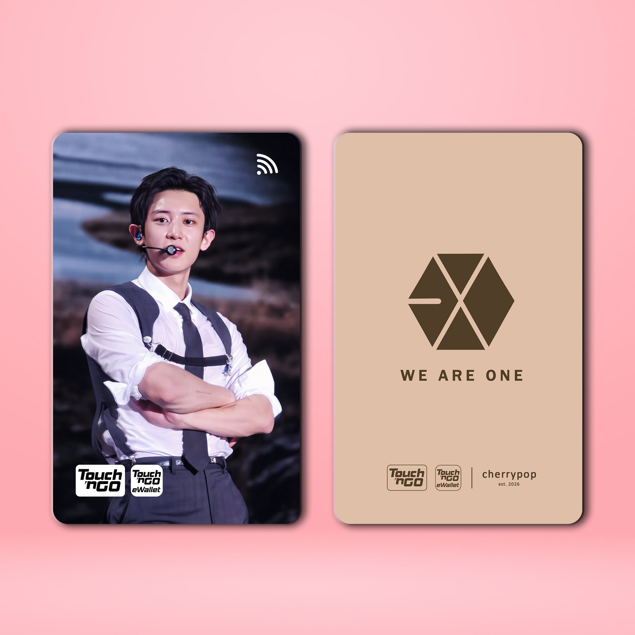 EXO CHANYEOL TNG Card Skin