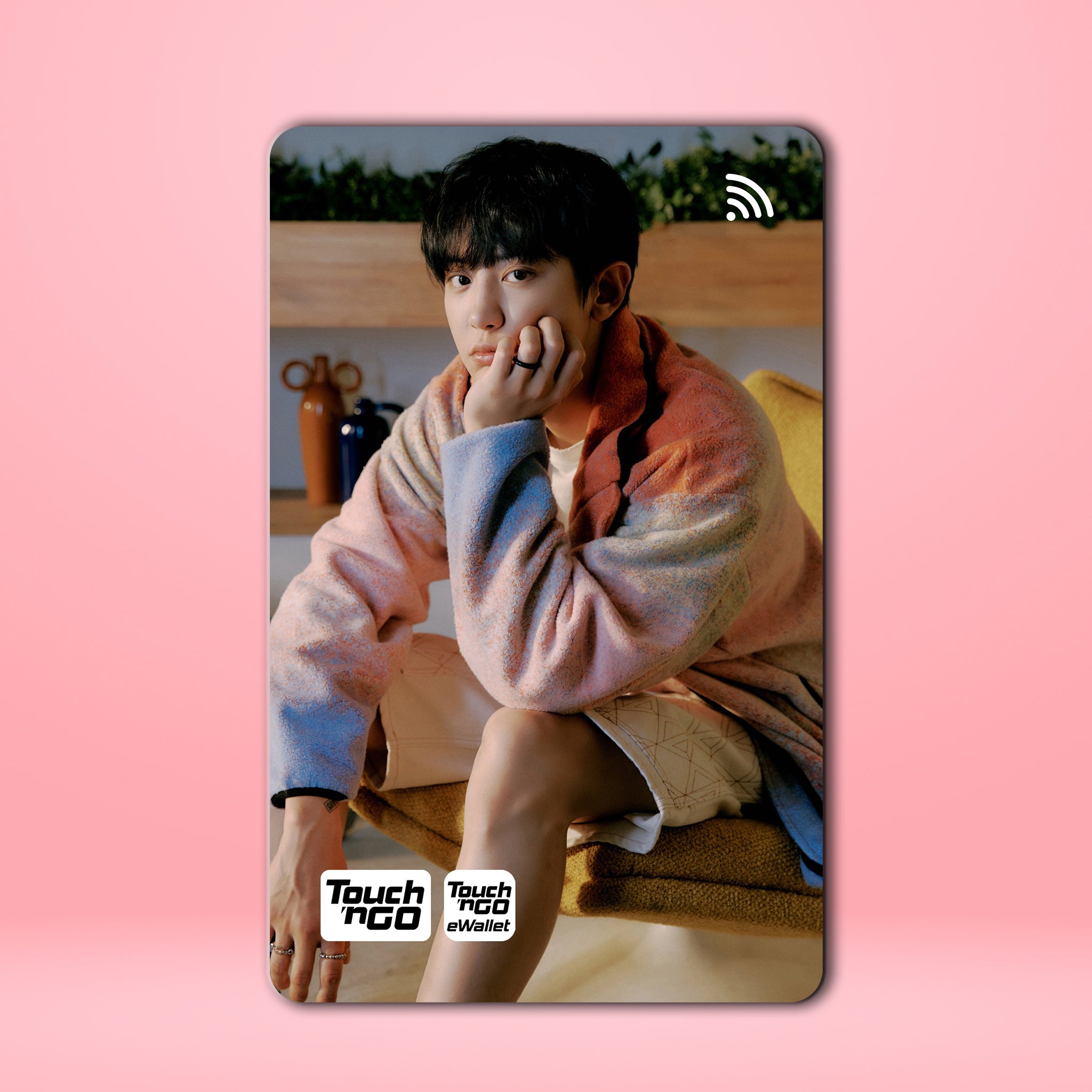 EXO CHANYEOL TNG Card Skin