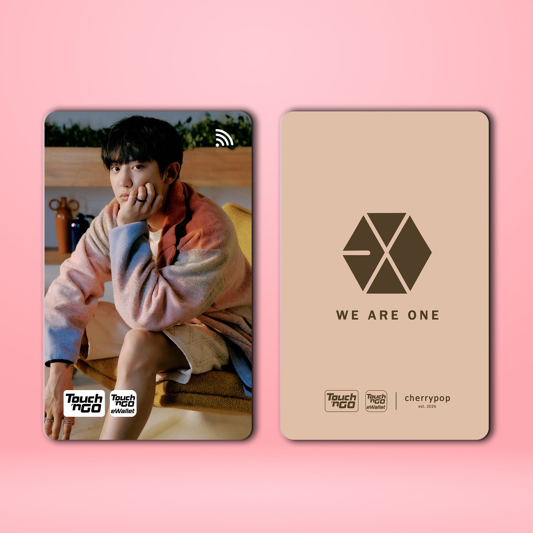 EXO CHANYEOL TNG Card Skin