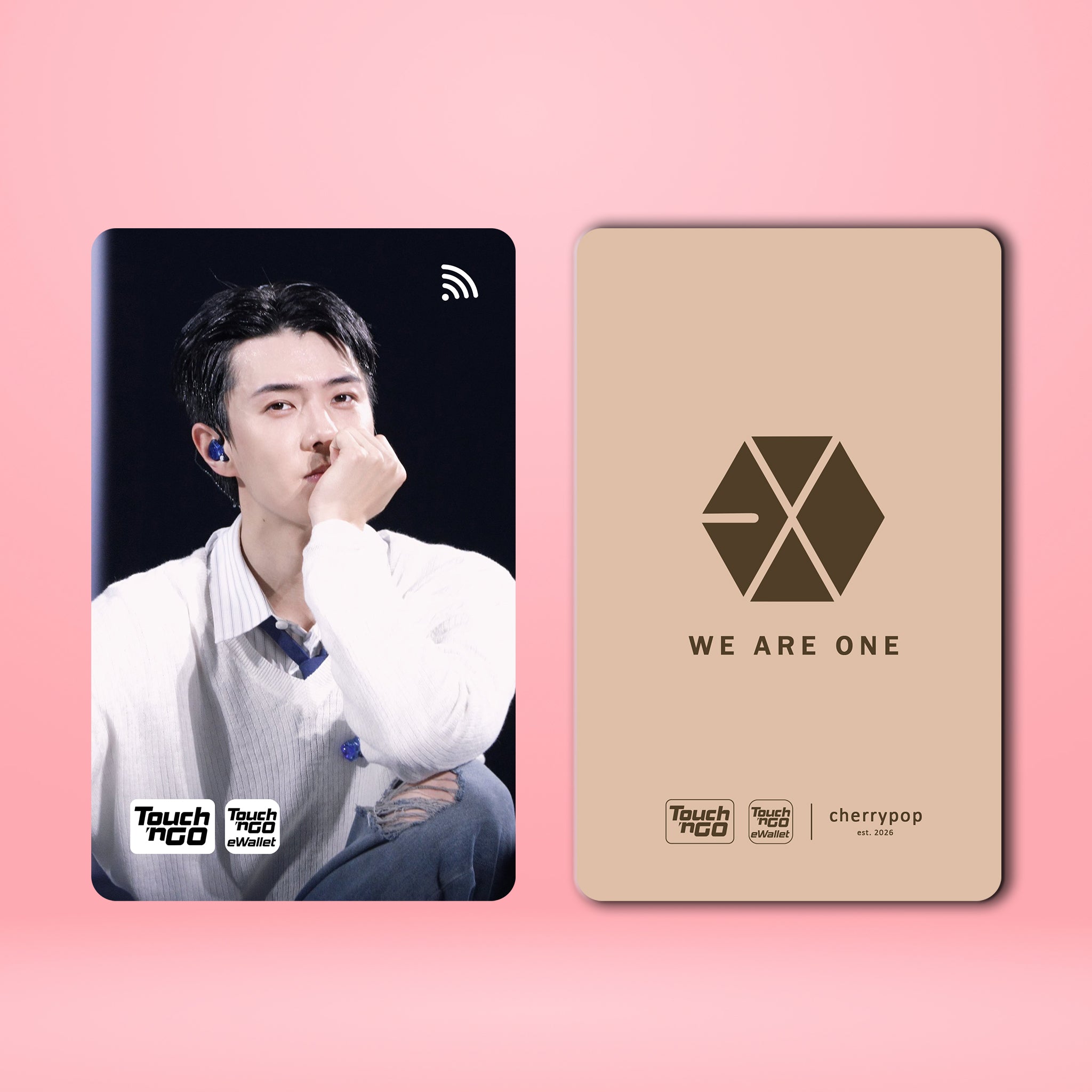 EXO SEHUN TNG Card Skin