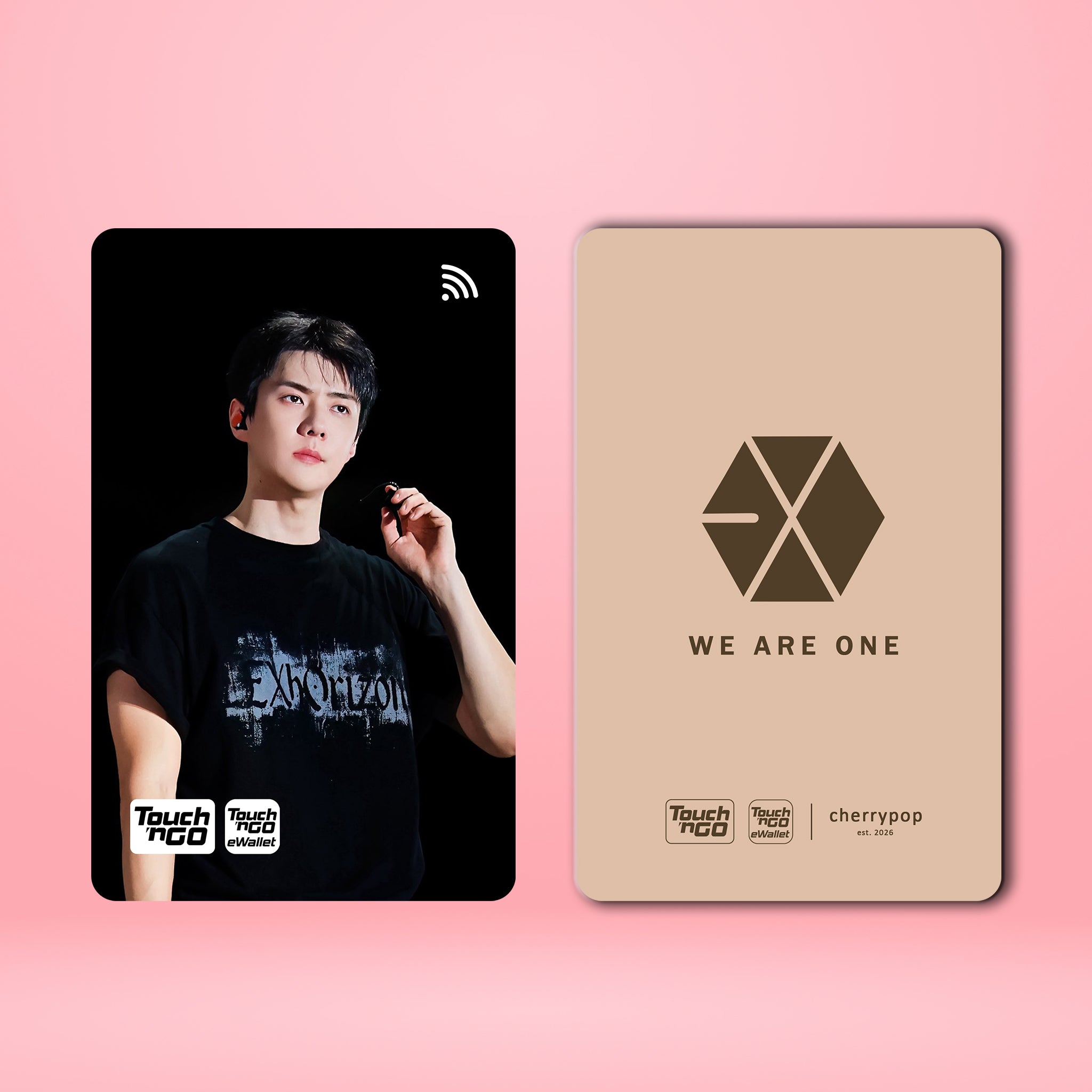 EXO SEHUN TNG Card Skin